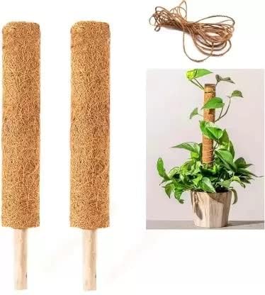 NIKHAT Plant Support Moss Stick- Green Grass Pole for Plants Support, Support Stick for Money Plant, Climbing Indoor Plants (B0CK644FVD) Amazon Price History, Amazon Price Tracker