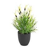 artplants