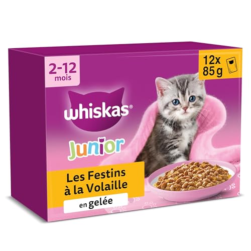 WHISKAS Aliment humide en gelée Chat junior 12x85g Festins à la Volaille (Lot de 4) 48 Sachets