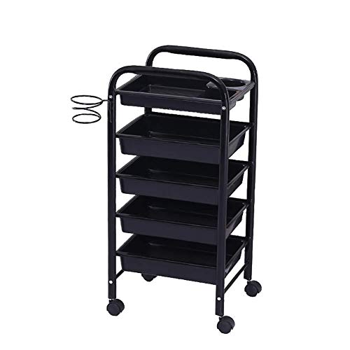 SXYKXYDL Carro de Compras Carro de Compras Carro médico Herramienta Carro de salón de Belleza con 5 cajones, Carro con Ruedas de peluquería con Soporte para Secador de Pelo