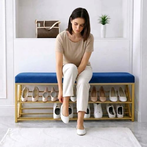 Image of Entryway Shoe Rack with Cushioned Seat, Shoe Bench for Entry, 2 Shelves Storage Bed Bench