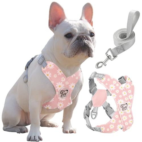 Pawaboo harnais petit chien avec laisse cadre X ajustable
