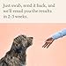 Wisdom Panel Premium Dog DNA Kit: Most Comprehensive with 265+ Health Tests, Identify 365+ Dog Breeds, 50+ Traits, Relatives, Ancestry, Genetic Diversity - Pack of 2