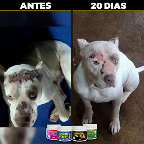 Suplemento Cachorro Forte Pelo e Derme - Suplemento Alimentar para Cães
