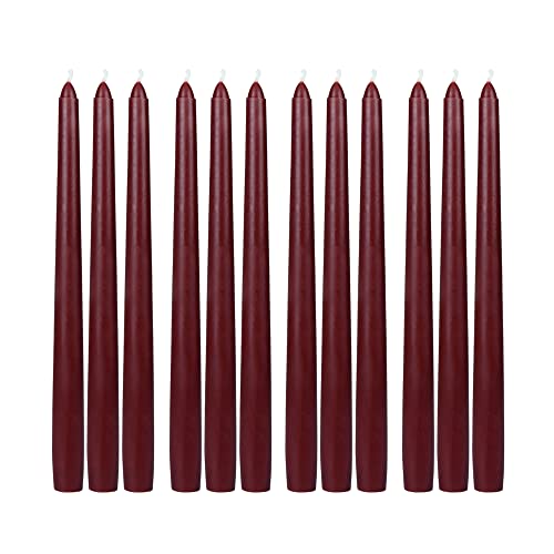 Zest Candle 12-Piece Taper Candles, 10-Inch, Burgundy #TOP1