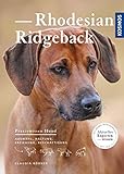 rhodesian ridgeback  Rhodesian Ridgeback: Auswahl, Haltung, Erziehung, Beschäftigung