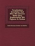  Verschiedene Zwiefalter Und K Fer Mit H Rnern: Nebst Drey Kupfertafeln Mit Figuren in Farben