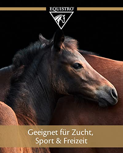 Equistro Flexadin Advanced | 1,2 kg | Ergänzungsfuttermittel für Pferde | Zur Unterstützung der normalen Gelenkfunktion | Enthält Nicht- denaturiertes Typ-II Kollagen | Pellets