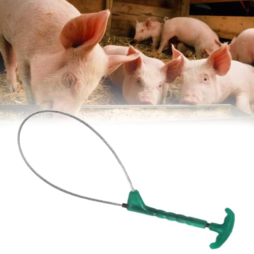 Animal Control Catch Pole, 31.1" Stainless Steel Dog & Catcher Pole with Locking Loop, Adjustable Grip for Safe Livestock Handling, Portable Pet Restraint Tool for Farms,Shelters & Animal Control