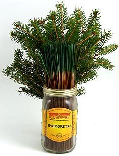 Wildberry Incense Sticks: Evergreen