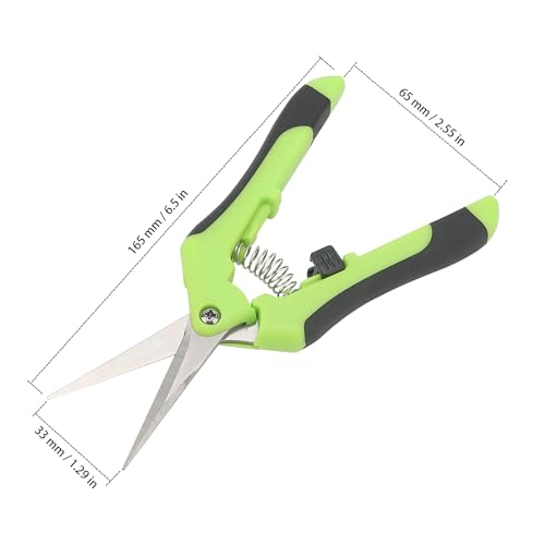 ZEONHAK 12 PCS 6.5 Inch Green Bud Trimming Scissors, Stainless Steel Bud Trim Scissors, Straight Tip Gardening Pruning Shears Pruners for Gardening 2 ZEONHAK 12 PCS 6.5 Inch Green Bud Trimming Scissors, Stainless Steel Bud Trim Scissors, Straight Tip Gardening Pruning Shears Pruners for Gardening - Image 2