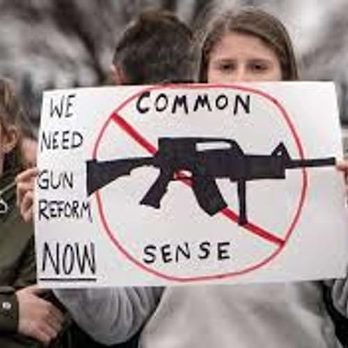 『Reasonable Gun Control Shouldn't Really Be So Hard』のカバーアート