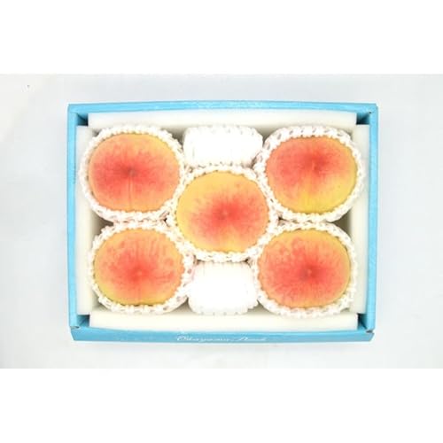 [2026年発送]岡山のもも "晴れ未来" 5〜6玉(約1.3kg)