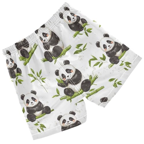 Pigsaly Boys' Swim Board Shorts Green Leaves Funny Pandas Boy's Swim Trunks Kids Swimwear 3T2
