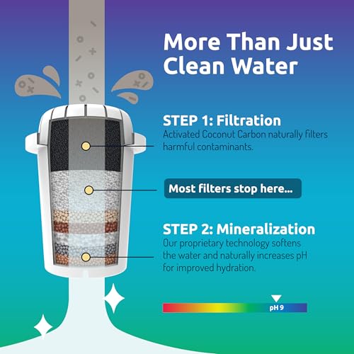 Image of Invigorated Water PH001 - White Alkaline Water Filter - Replacement Filters for all Pitcher & Dispenser Filtration Systems - BPA-Free, Removes Chlorine, Heavy Metals - 96 Gallons /Filter (3-Pack)