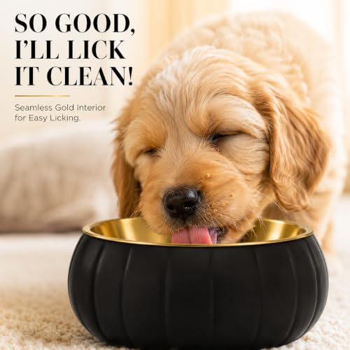 Black Pumpkin Shape Pet Bowl 304 Stainless Steel for Dogs and Cats - Image 4