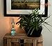 HYOOLA Oil Lamp - Vintage Oil Lamp - Windproof Durable Glass - 10