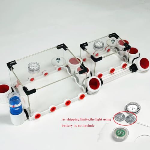 3D-Druck Unbegrenzte Erweiterung, Ameisenformicarium, Öko-Pflaster, Ameisennest, Ameisenfarm, Arylic, Insektenameisen-Lebensraum, Beobachtung, Lern-Formicarium für lebende Ameisen und Königin
