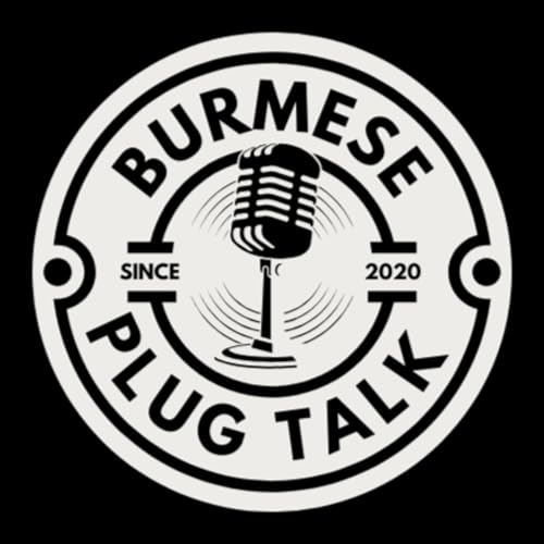 Burmese Plug Talk cover art