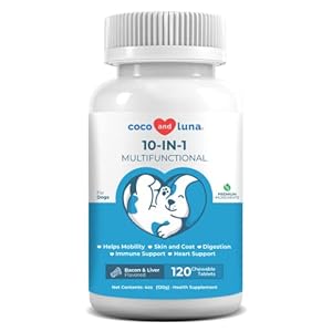 10 in 1 Multivitamin for Dogs – 120 Chewable Tablets – Hip and Joint Support with Glucosamine and Chondroitin – Omega Fish Oil & Vitamins with Coq10 for Skin & Heart Health, Gut & Immune Support