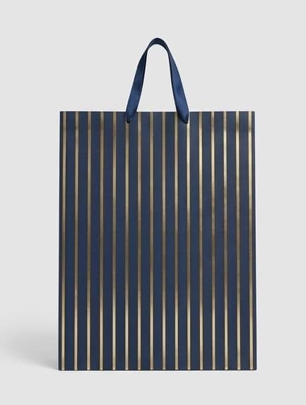 PaperAura Premium Gift Bag with Rope Handles | Luxury Paper Carry Bag for Gifts, Return Gifts, Shopping & Festive Packaging | Reusable Designer Gift Bag 13 x 4.5 x 17 Inches (Blue, Pack Of 4, Design 3)