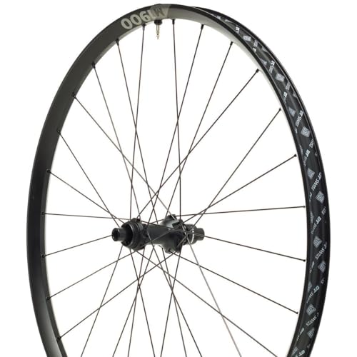 DT Swiss M 1900 Spline 30 Rear Wheel - 29 inch, 12 x 148mm, Center-Lock, Micro Spline, Black (2140060112)