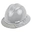 Gull Grey