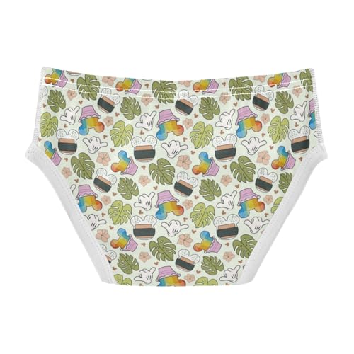 Boys' Exclusive Briefs Toddler Underwear 95% Combed Cotton Boxerbriefs 2T Cactus and Floral Pattern 102