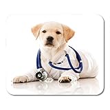 Paket enthalten: 1 * Mauspad. Semtomn Gaming Mouse Pad Tierarzt kleiner Hund als Tierarzt in Robe und Stethoskop Dekor Büro rutschfeste Gummi Backing Mousepad Mouse Mat