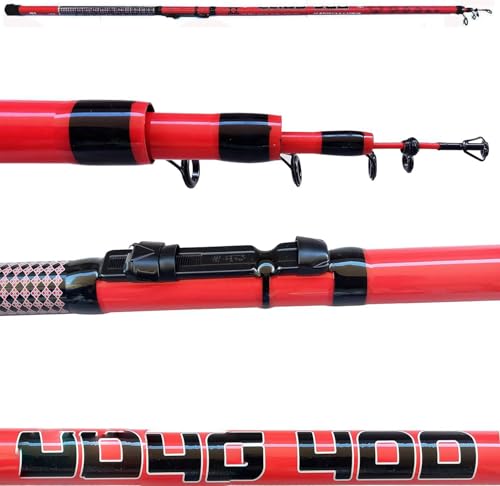 Bolognese Metri 3 Canna da Pesca Mare Lago Fiume Trota Carpa