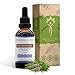 Motherwort Tincture Alcohol-Free Liquid Extract, Organic Motherwort (Leonurus Cardiaca) Dried Herb (2 FL OZ)