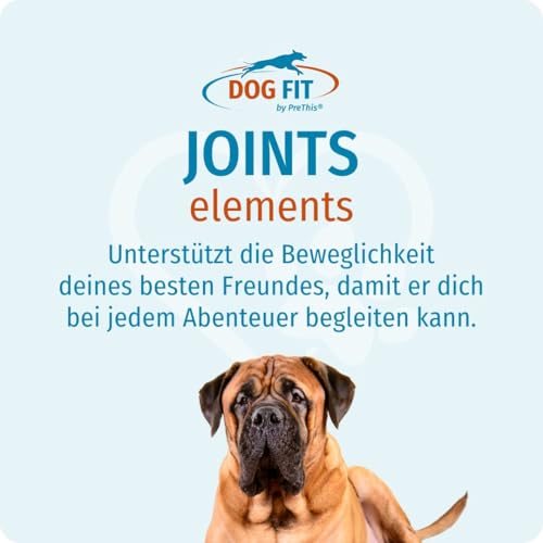 DOG FIT by PreThis® Joints Elements für Hunde I Mit Glucosamin, Chondroitin, MSM & Kollagen I Ohne künstliche Zusätze (Large ab 25 kg)