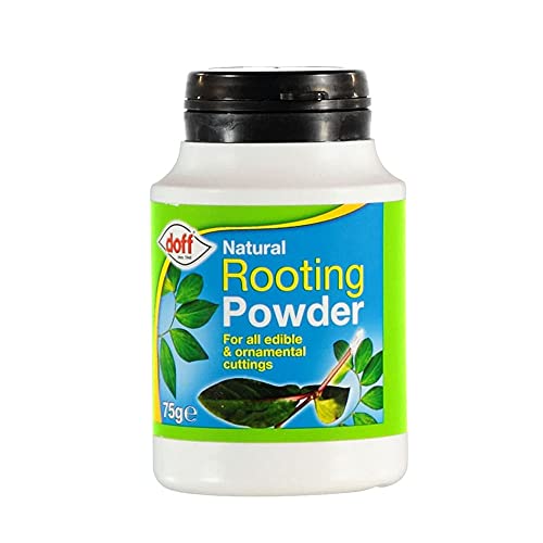 Doff Rooting Hormone Powder for Cutting Strong Roots/Help to Grow Edible Plants/Gardening for Outdoor and Indoor and Use to Prepare Organic Natural Nutrients 75g (Pack of 1)
