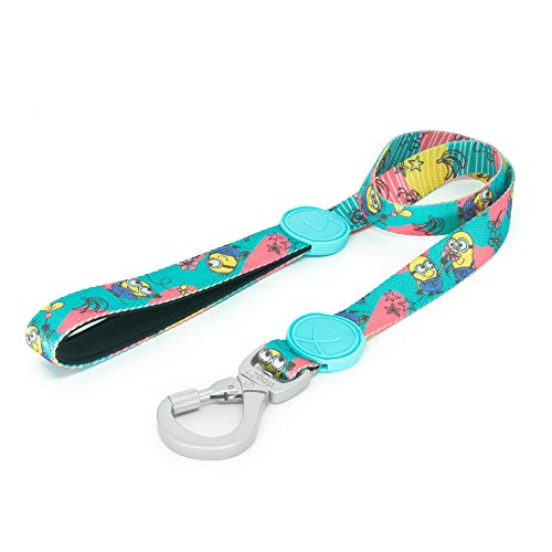 Guia Para Cachorro dog27 Minions Doodles: PP (de Acordo com Coleira/Peitoral)