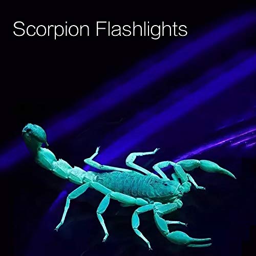 Glbsunion Uv Black Light Flashlight, Super Bright 68 Led Best Pet Dog Cat Urine Detector Light Flashlight For Pet Urine Stains, Uv Blacklight Flashlight For Bed Bugs Scorpions, Home Hotel #TOP5