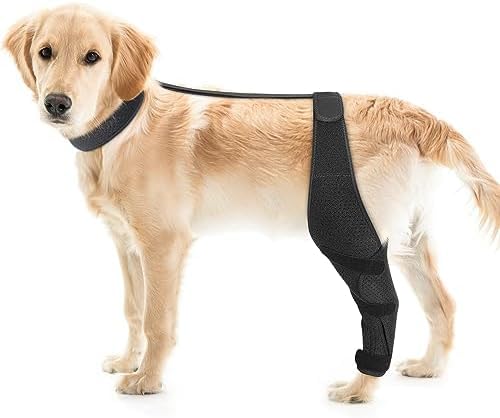 Image of Dolitego Adjustable Dog Knee Brace - Dog ACL Leg Brace for Support with Cruciate Ligament Injury, Joint Pain, and Muscle Soreness, Anti-Slip Canine Rear Leg Braces for Dogs (Medium, Left)