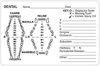 Vista 9 de Pegatinas de examen dental veterinario canino, Doctor Stuff Veterinarian Stickers, 2-1/2" x 2-1/2", Blanco, 390/Roll, Tabbies Veterinary V-AN432