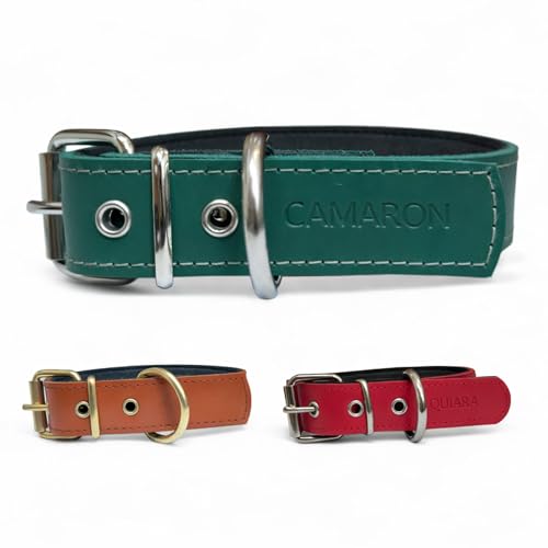 Collar para Perro de Cuero con Acolchado - Personalizable con Nombre Grabado - Hecho a Mano, Resistente y Elegante - Llavero Personalizado de Regalo (Verde, M/L: Rango de Cuello 37–47 cm)