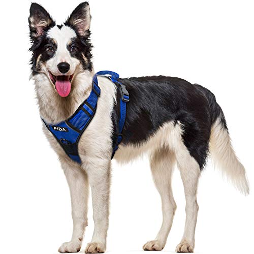 brilliant k9 harness sizing