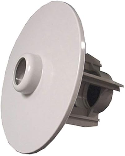 Sundance 6540-503 Filtro de Spa/Jacuzzi