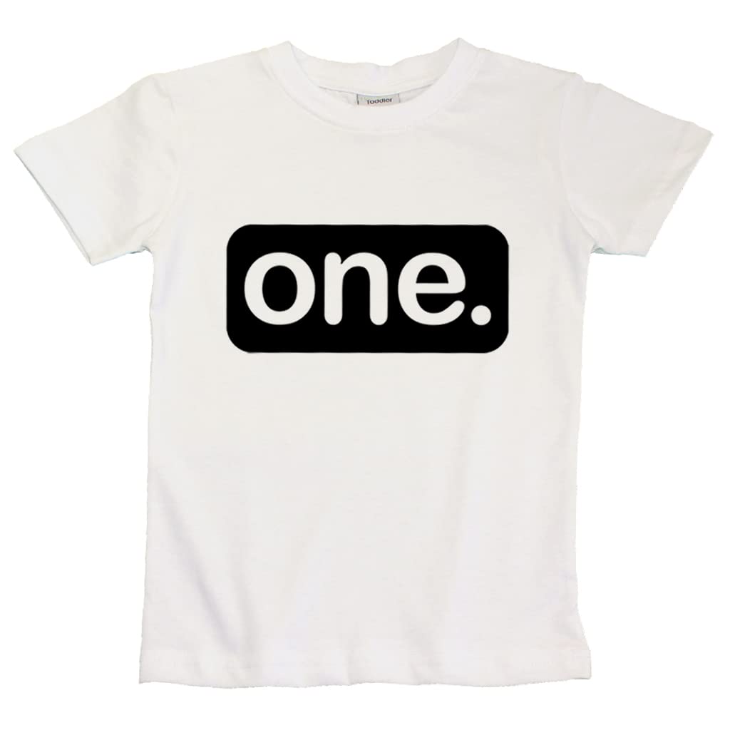 First Birthday Outfit boy 1st Birthday boy Gifts one Year Old Shirt Baby Boys