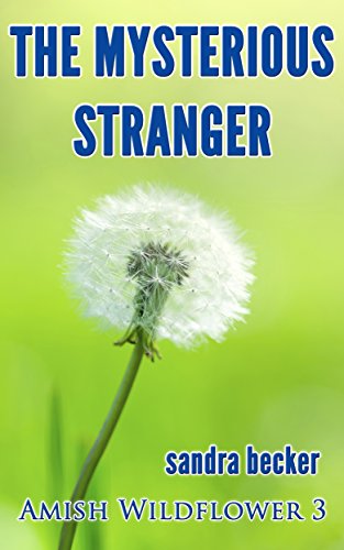 The Mysterious Stranger