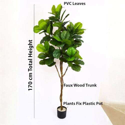 Image of ARICK DECOR Artificial Fiddle Leaf Fig Tree 6ft | Realistic Faux Silk Lush Green Plant in Pot | Peacock Shaped Large Floor Plant for Living Room, Home Office & Indoor Decor (6Ft, Green)