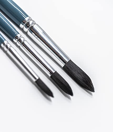 OAT ART STUDIO Watercolor Brush Set Premium Synthetic Blue Squirrel Long Handle Pointed-Round Art Paintbrushes for Watercolor/Gouache/Face Painting (3/Blue_Round)
