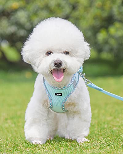 Image of Petank Dog Harness for Small Medium Dogs No Pull, Puppy Harness and Leash Set,Step in Dog Harness for Walking, Running, Training, Small Dog Vest(Light Blue, XXS)