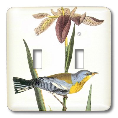 Placa de interruptor doble de pájaros 3dRose lsp_151971_2 embellecedor gris amarillo 3