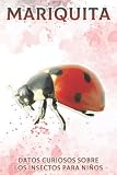 Mariquita: Datos curiosos sobre los insectos para niños #20