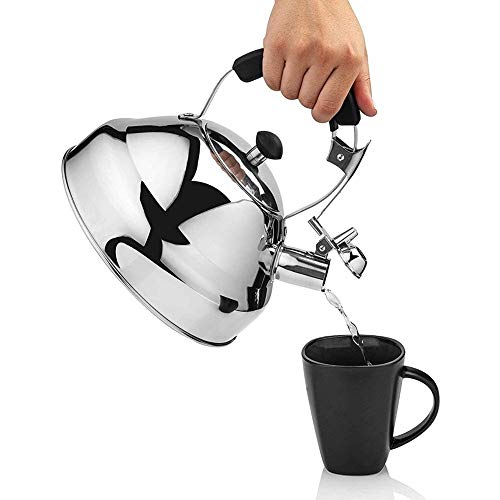 Bouilloire pour une cuisson plus rapide théière en acier inoxydable sifflet