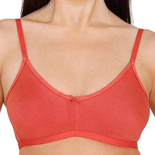 Image of Zivame Women T-Shirt Bra