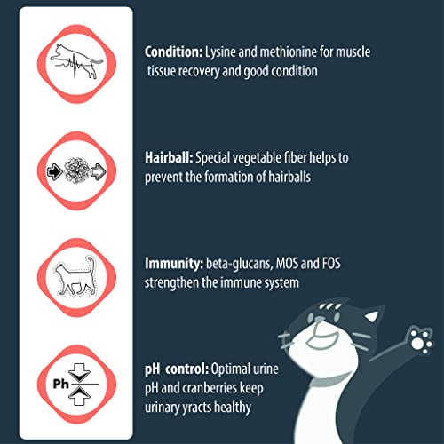 Image of Eminent Cat Adult Salmon Complete Food for Adult Cats - Salmon Flavor with Protein Food for Cats (10 Kg)